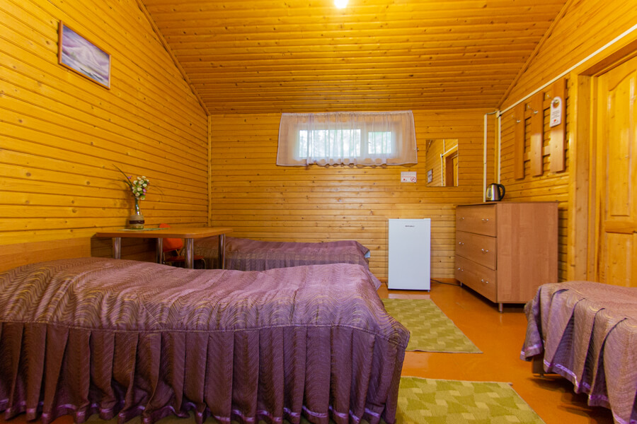 лет11